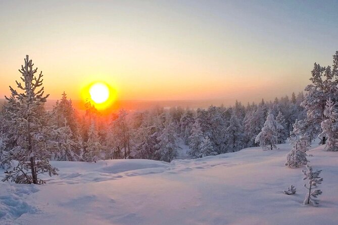 Wilderness Survival Tour - Winter - The Walk From Rovaniemi to Lapland: What You Do First