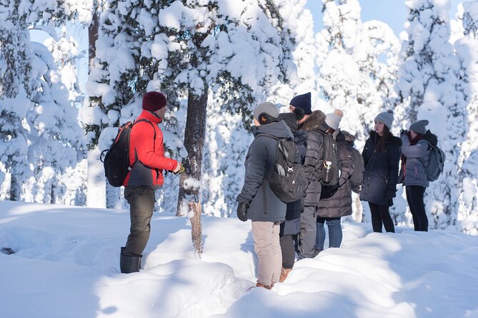 Wilderness Survival Tour - Winter - Reading Tracks in Snow, Spotting Wildlife Clues, and Not Guessing