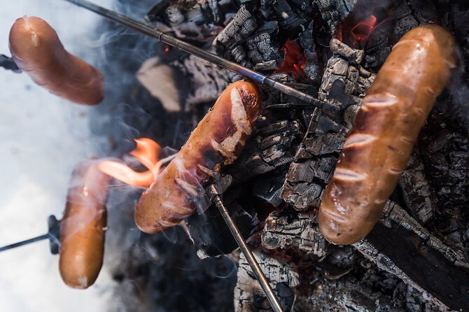 Wilderness Survival Tour - Winter - Plants, Trees, and Winter Properties: Learning Without a Textbook