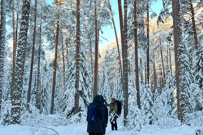 Winter Wonderland Hike in a National Park - Guides like Jeff, Mari, Alex, and Helena: small-group calm, big nature stories