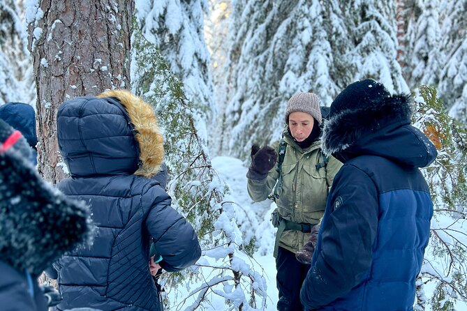 Winter Wonderland Hike in a National Park - The Hike Itself: easy 4.5 to 5 km, forest details, and wildlife moments
