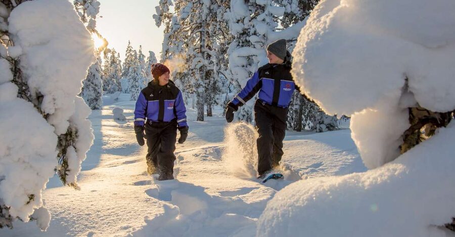 Ylläs: Forest Hike with Snowshoes - Getting There: Transfers, Timing, and Group Size Reality
