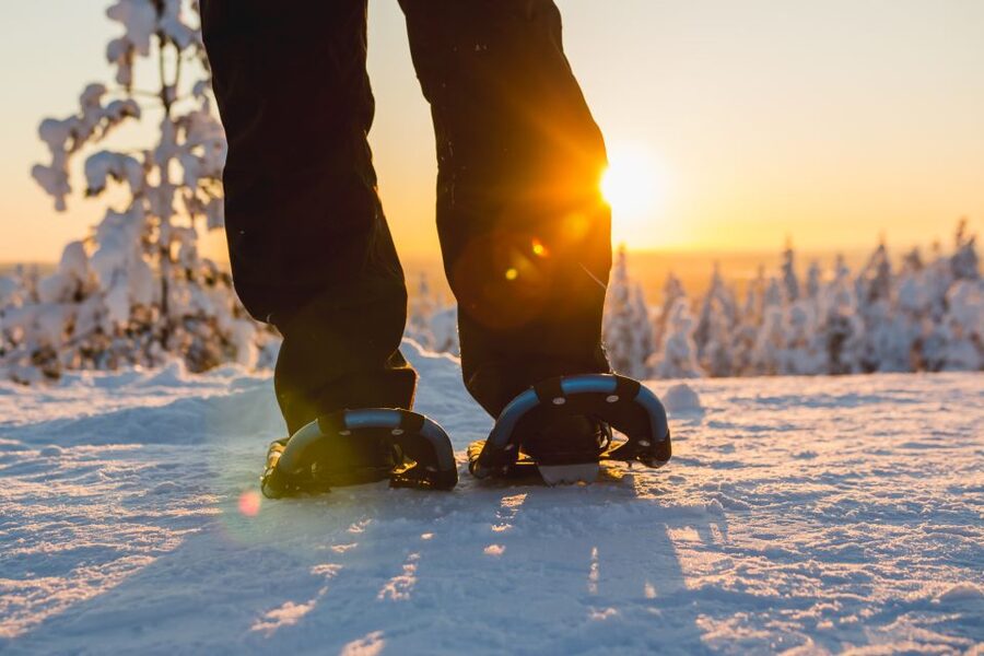 Ylläs: Forest Hike with Snowshoes - Price and What You Truly Get for About $101