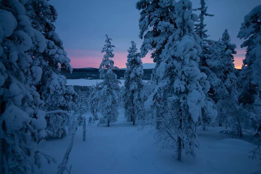 Ylläs: Guided Nordic Skiing Tour in Lapland Wilderness - Key things to know before you go
