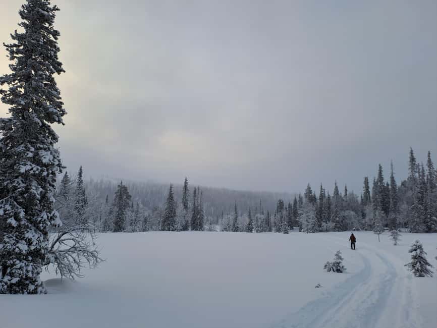 Ylläs: Guided Nordic Skiing Tour in Lapland Wilderness - Campfire Break With Grilled Sausages and Hot Drinks
