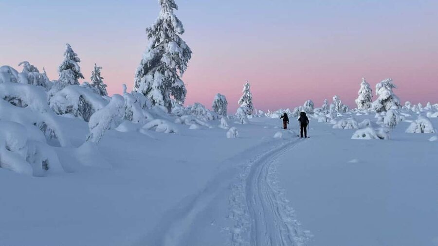 Ylläs: Guided Nordic Skiing Tour in Lapland Wilderness - Getting to the Meeting Point: Yllästunturi Visitor Centre Pickup Options