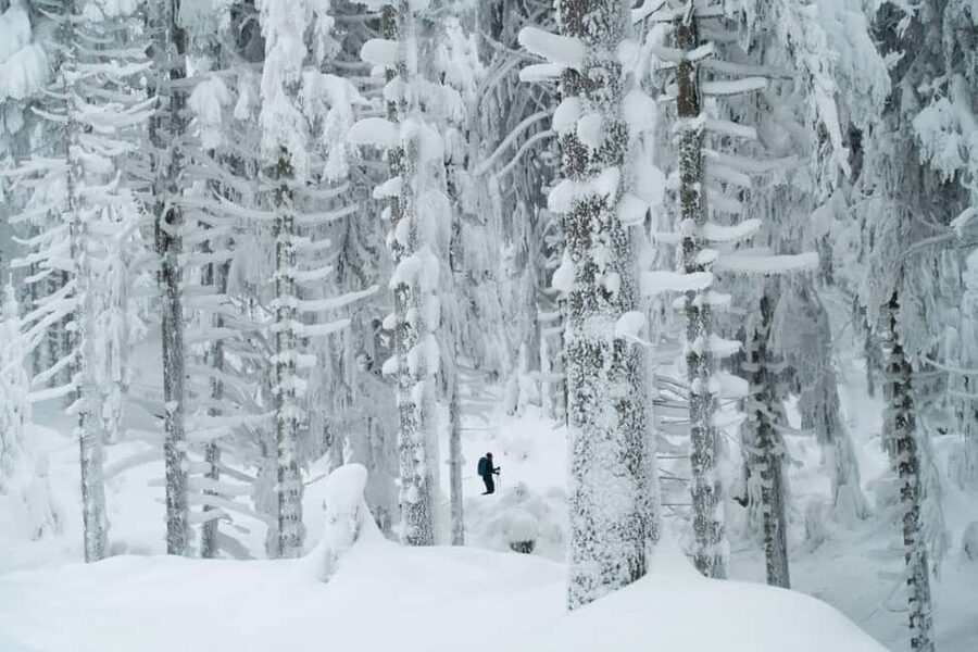 Ylläs: Guided Snowshoeing Adventure to Kesänki Fell - Key Highlights Worth Planning For