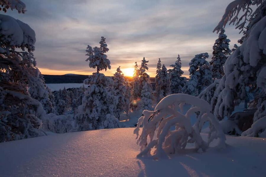 Ylläs: Guided Snowshoeing Adventure to Kesänki Fell - Why Kesänki Fell Snowshoeing Feels Like Lapland at Human Speed