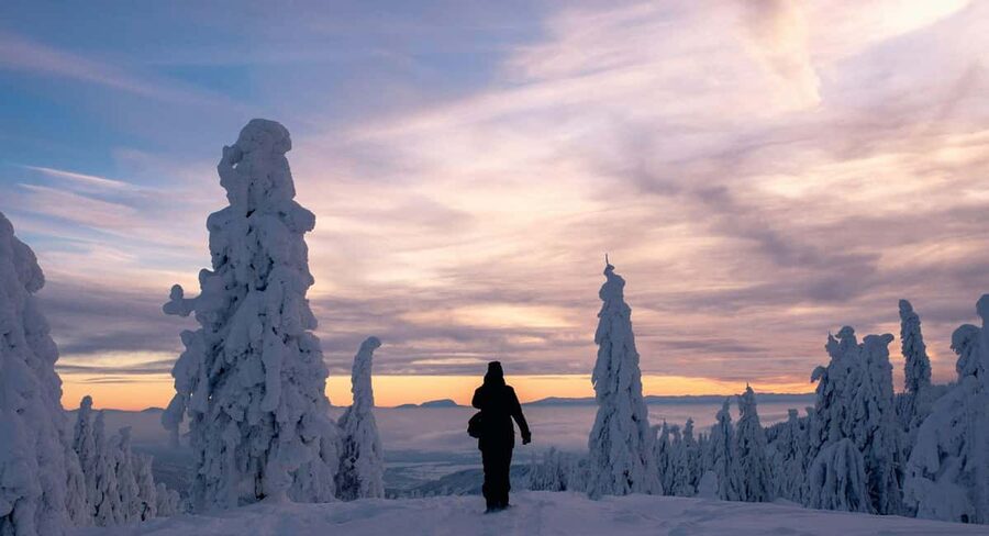 Ylläs: Guided Snowshoeing Adventure to Kesänki Fell - Should You Book This Snowshoeing Adventure?