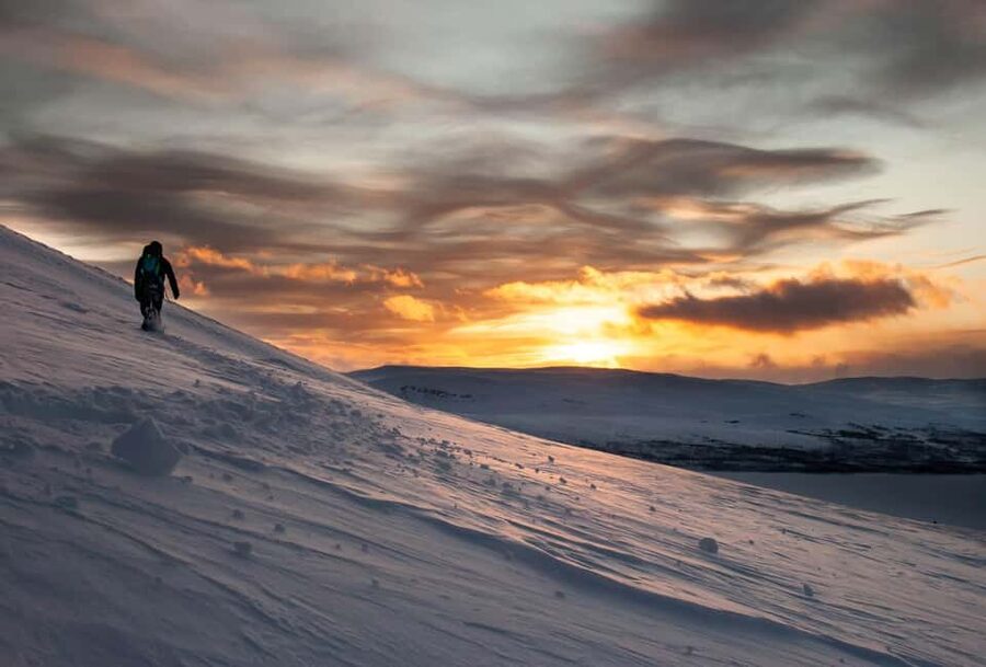 Ylläs: Guided Snowshoeing Adventure to Kesänki Fell - The 4.5-Hour Flow: What Happens From Pickup to Finish