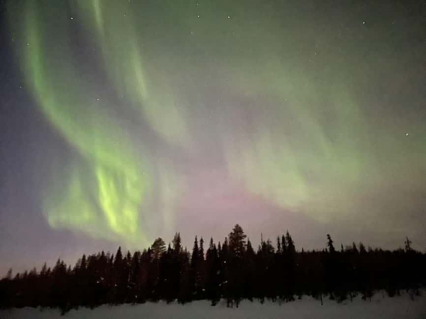 Ylläs: Northern Lights Snowmobile Safari with Transfers - Key highlights you will actually care about