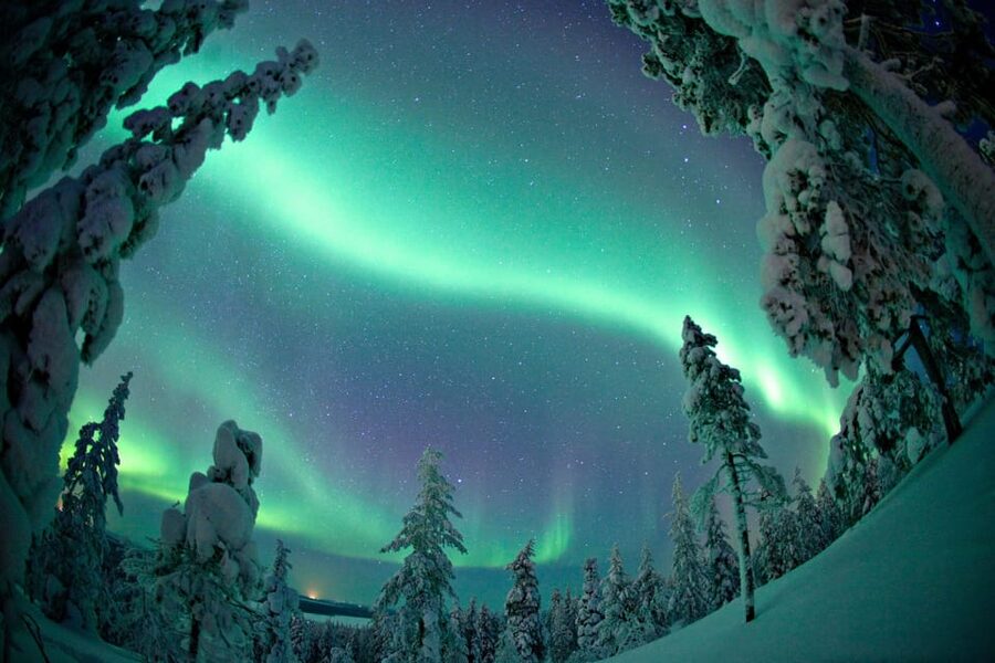 Ylläs: Seeking Northern Lights Photo Tour - Why a Ylläs Northern Lights photo tour beats solo aurora chasing