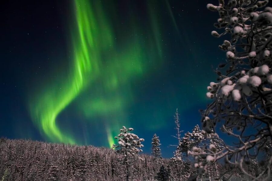 Ylläs: Seeking Northern Lights Photo Tour - Your guide: photographer, light-effect partner, and storyteller