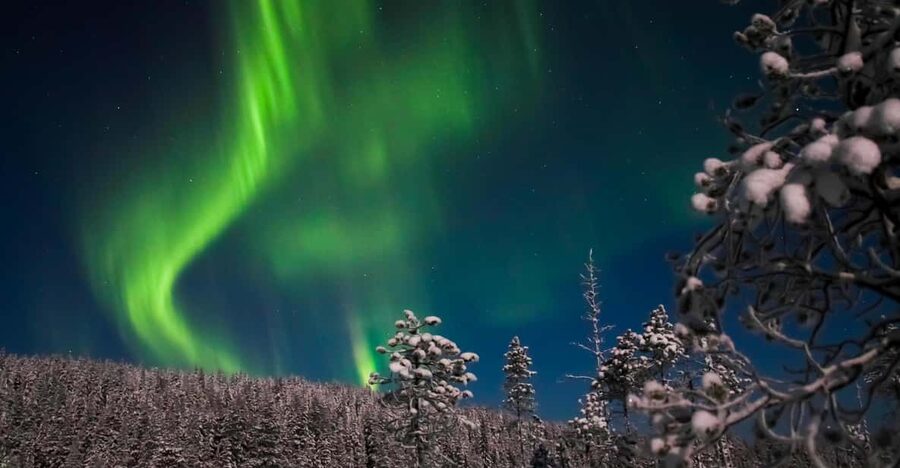 Ylläs: Seeking Northern Lights Photo Tour - What happens on the stops, and how to think about “best chances”