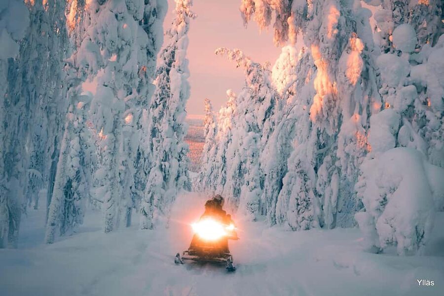 Ylläs:Snowmobile safari to forest kota with a family company - Key highlights I’d plan around